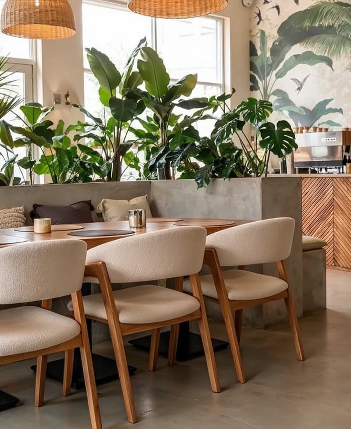 Quiet corner with plants and natural light at Sophie's Café